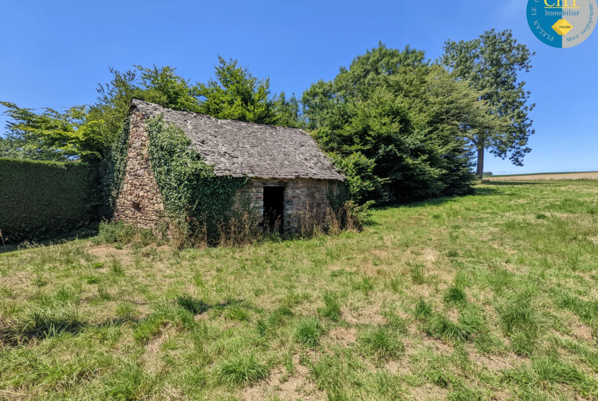 Bâtisse en pierres à rénover à BEIGNON 