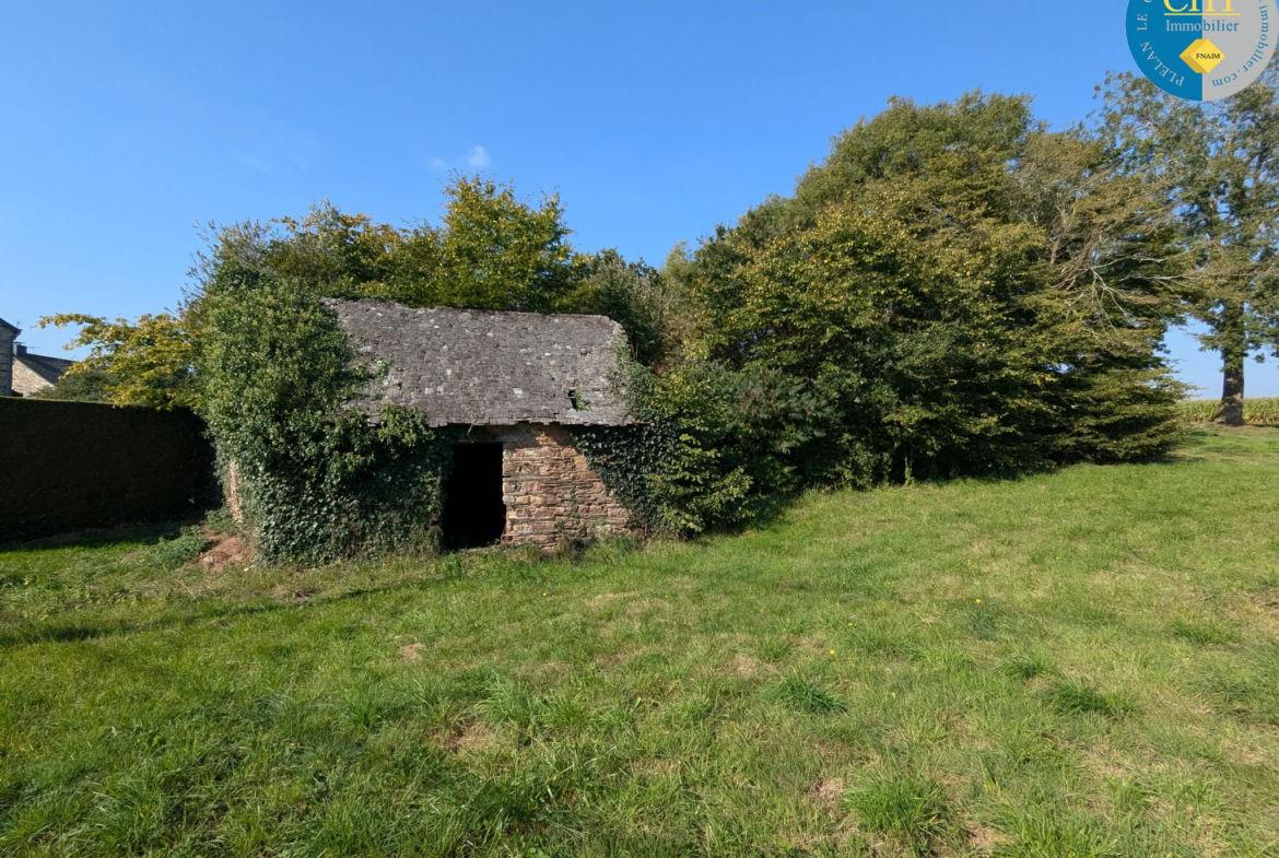 Bâtisse en pierres à rénover à BEIGNON 