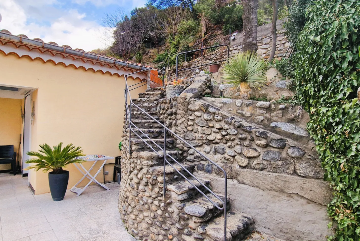 Maison à Arles-sur-Tech avec terrasse, jardin, annexe, garage et vue dominante 