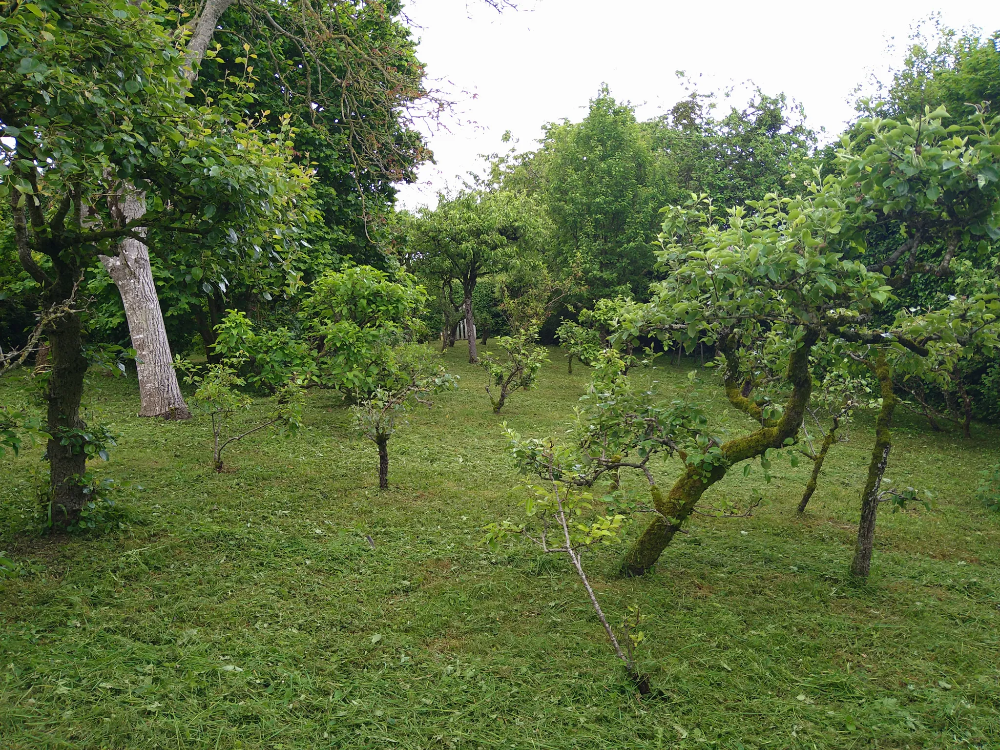 Terrain de loisir avec maisonnette à Souge le Ganelon 