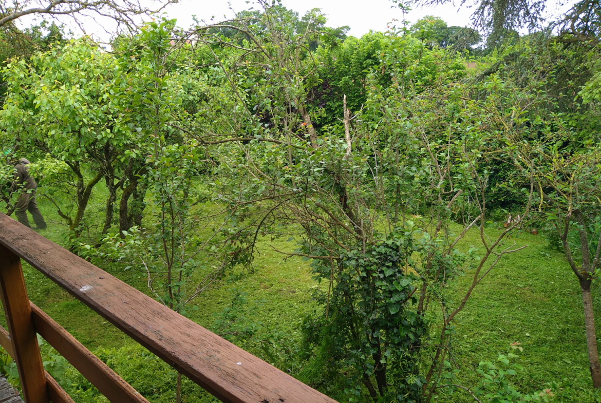 Terrain de loisir avec Maisonnette à Souge le Ganelon 