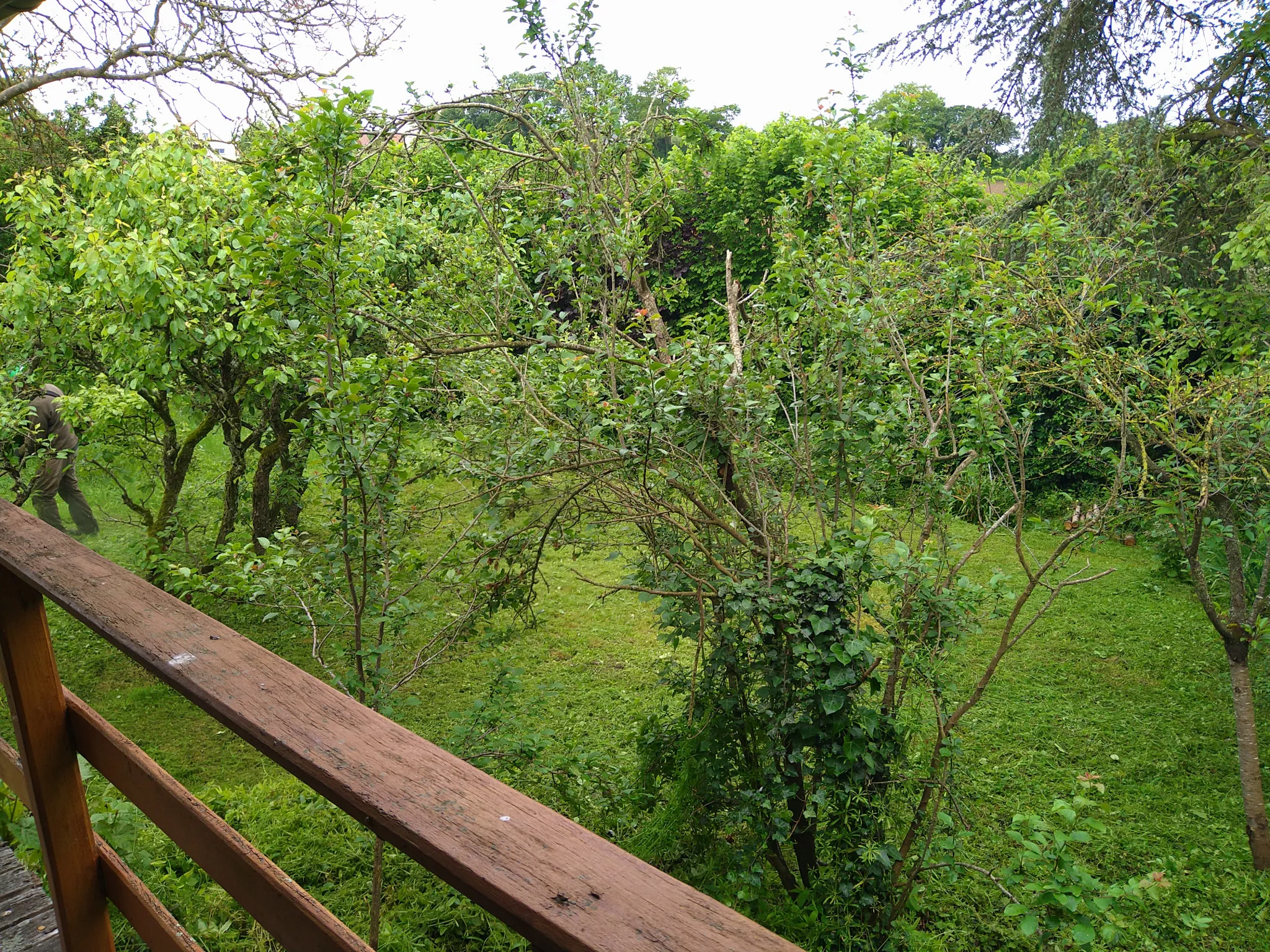 Terrain de loisir avec maisonnette à Souge le Ganelon 