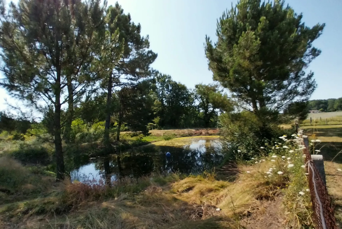 Maison en Pierre avec 5 Chambres et Piscine à Razac sur L'Isle 