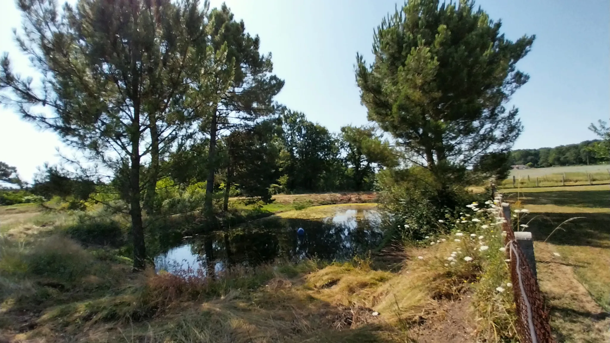 Maison en Pierre avec 5 Chambres et Piscine à Razac sur L'Isle 