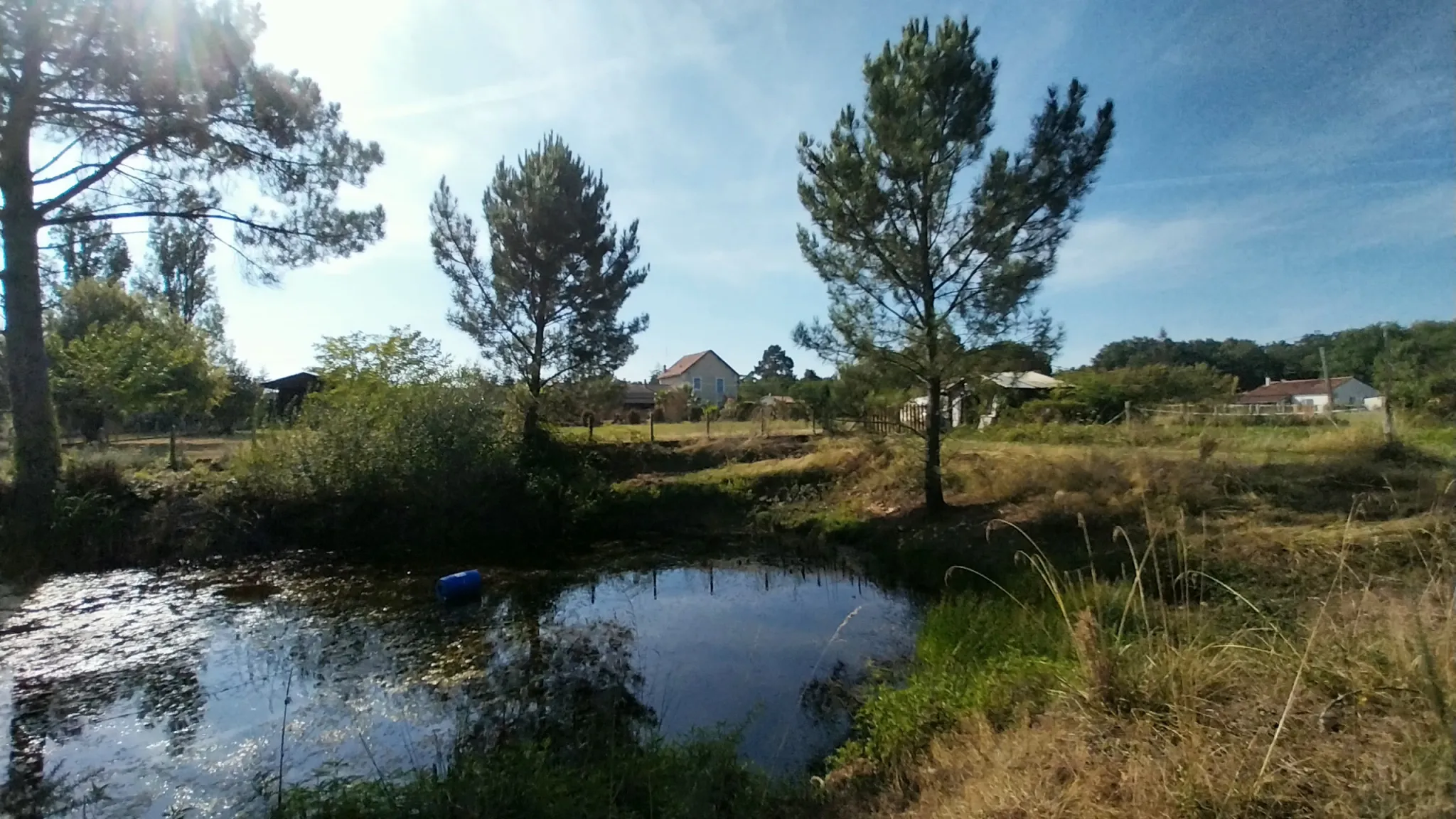 Maison en Pierre avec 5 Chambres et Piscine à Razac sur L'Isle 