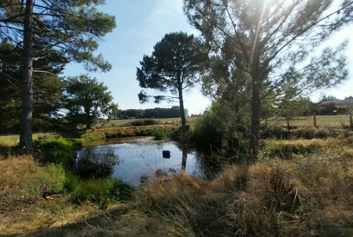 Maison en Pierre avec 5 Chambres et Piscine à Razac sur L'Isle 