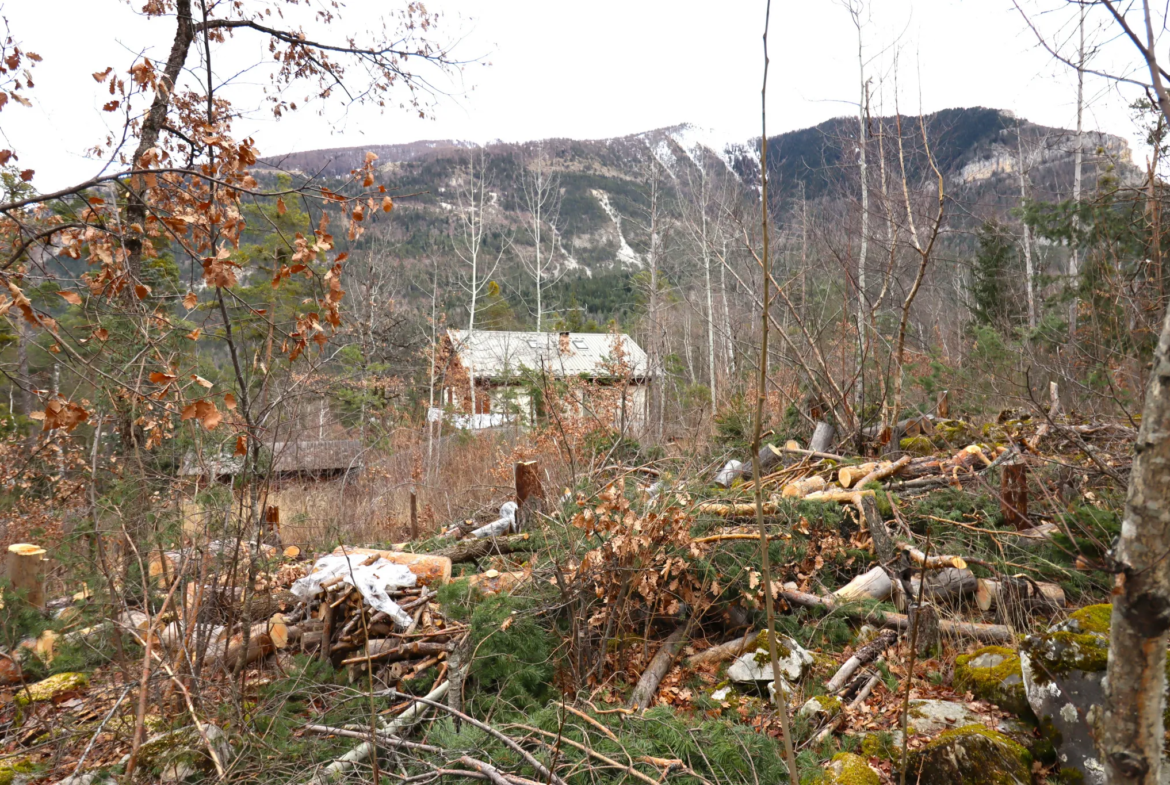 Terrain constructible Beauvezer avec vue sur montagnes 