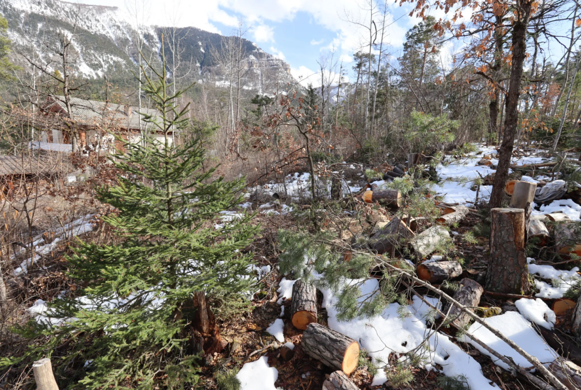 Terrain constructible Beauvezer avec vue sur montagnes 