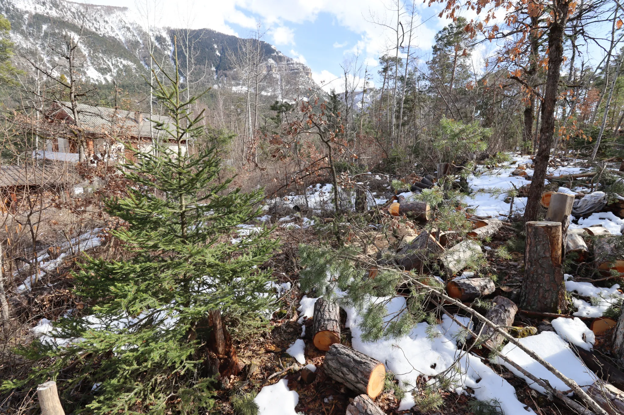 Terrain constructible Beauvezer avec vue sur montagnes 