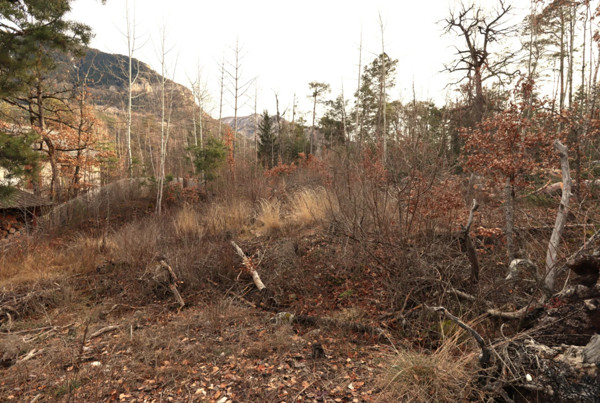 Terrain constructible Beauvezer avec vue sur montagnes 