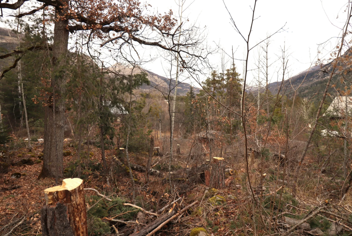 Terrain constructible Beauvezer avec vue sur montagnes 