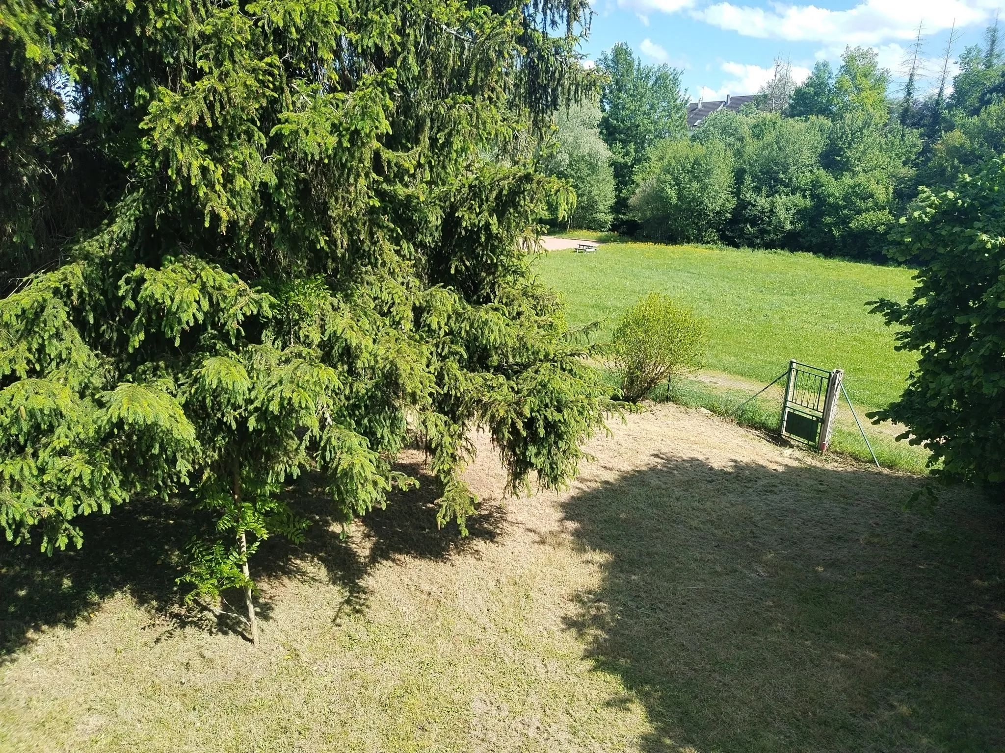 Charming House in Cours les Barres with Lovely Garden 