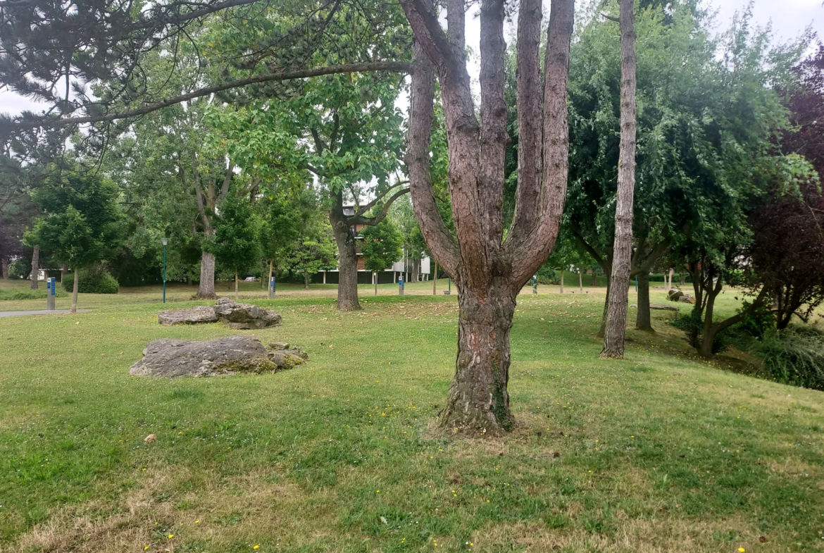 Appartement lumineux à PONTOISE avec vue sur parc 