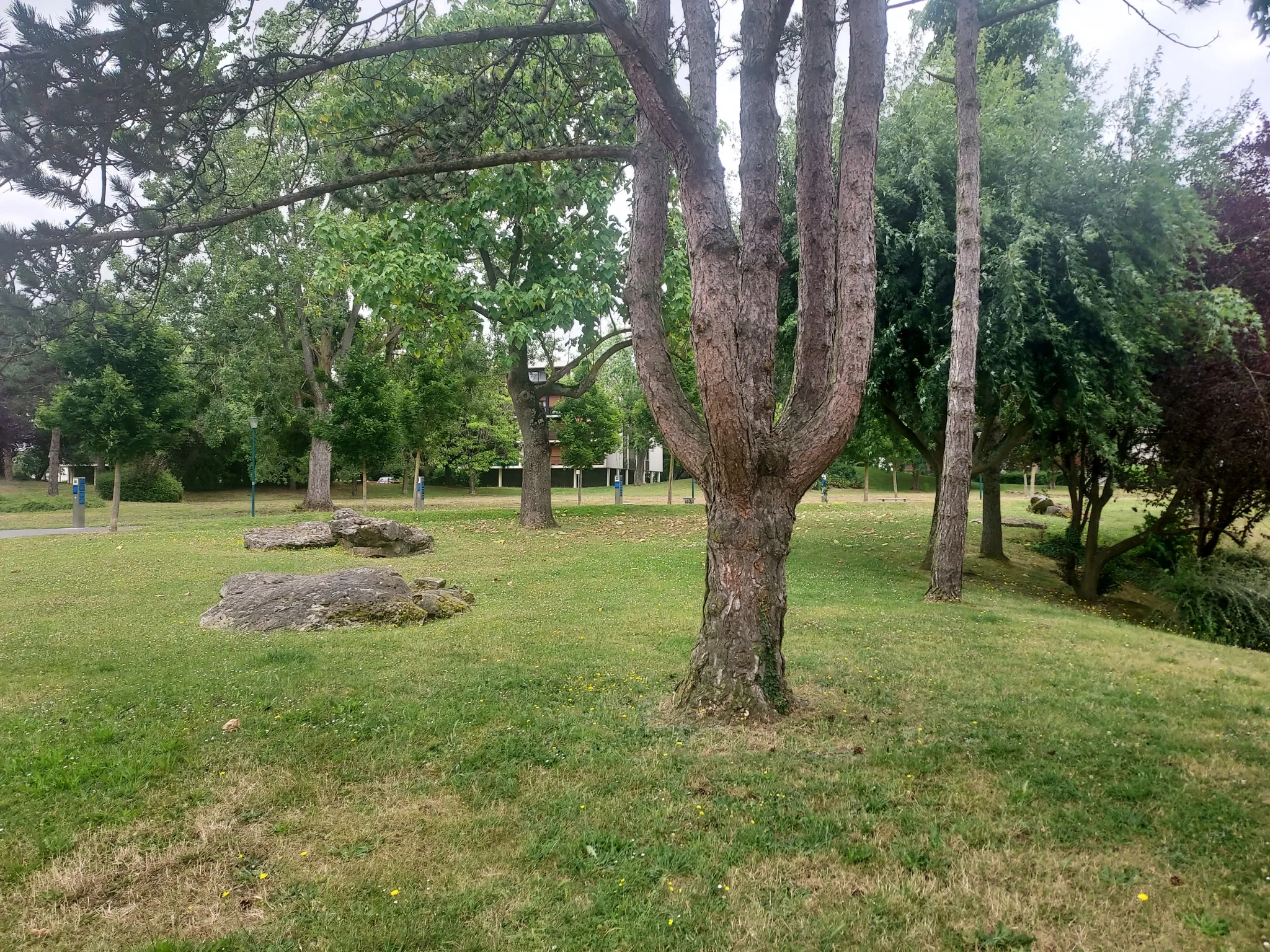 Appartement lumineux à PONTOISE avec vue sur parc 