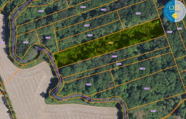 Terrain non constructible de 5035m2 à Loutehel 