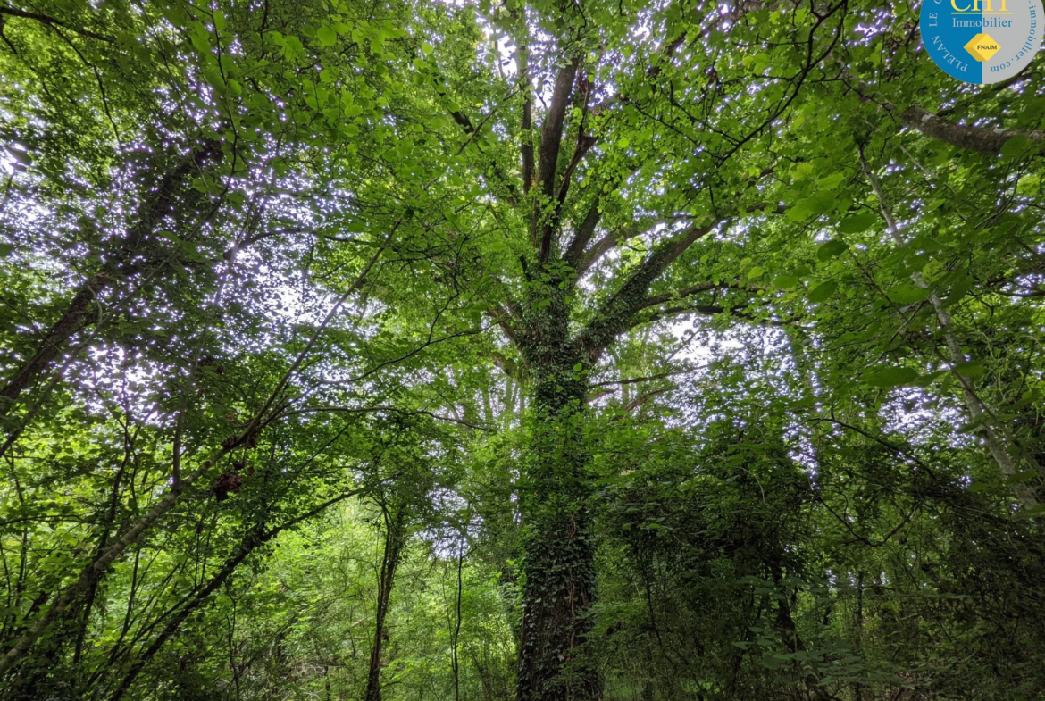 Terrain non constructible de 5035m2 à Loutehel 