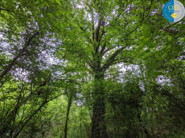 Terrain non constructible de 5035m2 à Loutehel