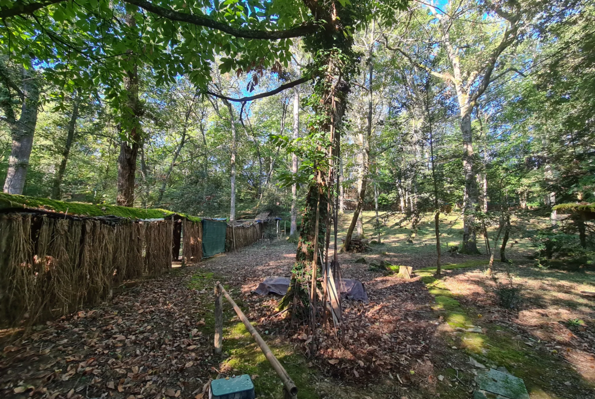 Palombières sur parcelle forestière de 3 ha 85 a 40 ca à Labarthete 