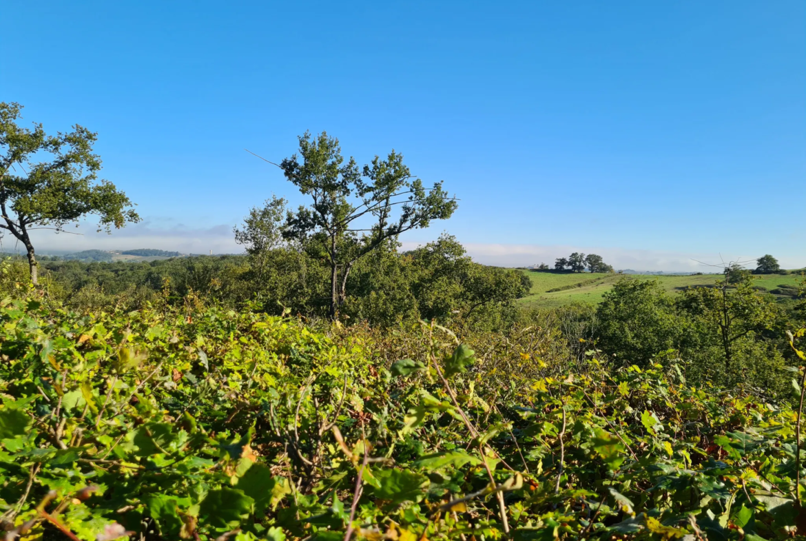 Palombières sur parcelle forestière de 3 ha 85 a 40 ca à Labarthete 