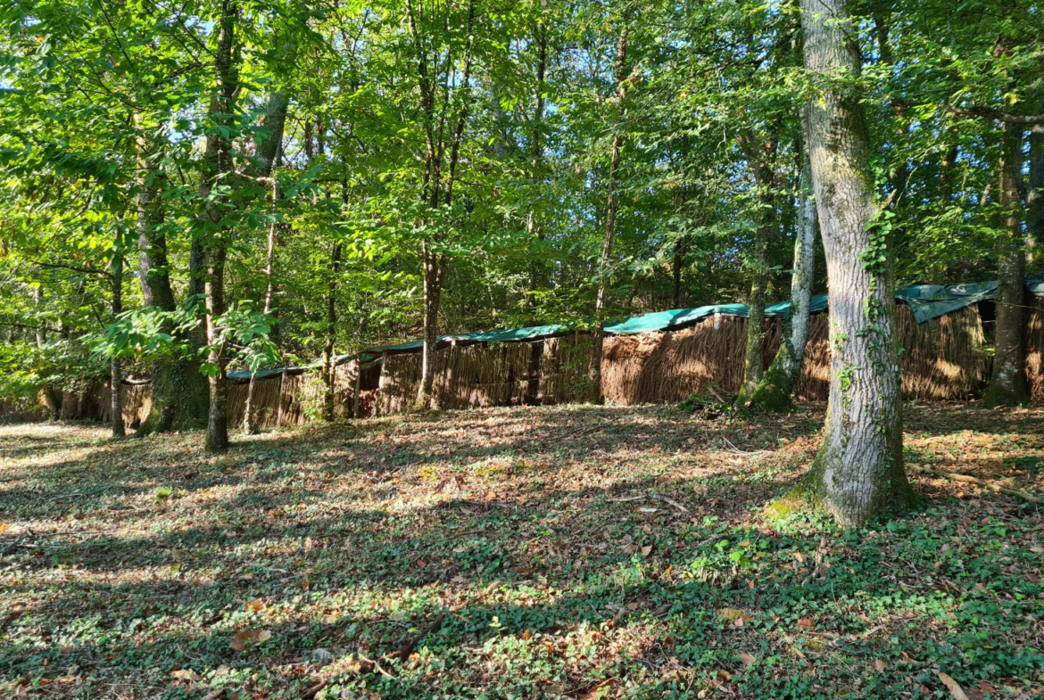 Palombières sur parcelle forestière de 3 ha 85 a 40 ca à Labarthete 