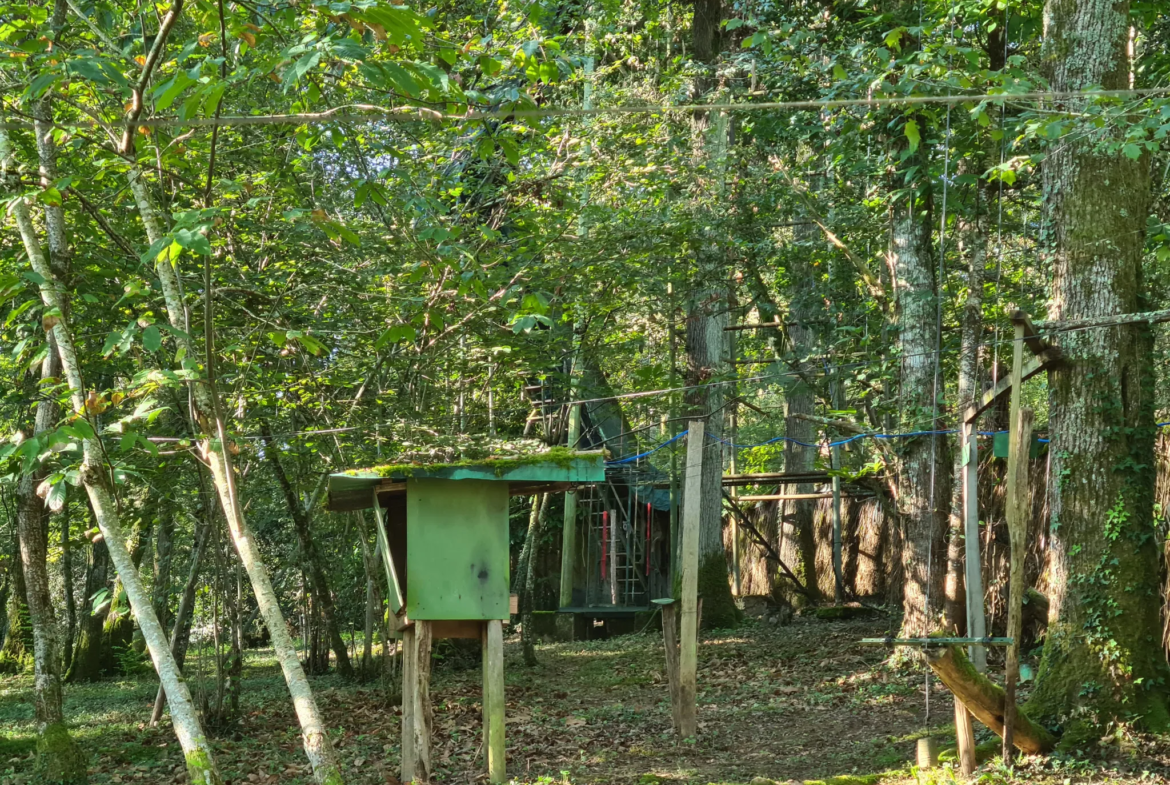 Palombières sur parcelle forestière de 3 ha 85 a 40 ca à Labarthete 