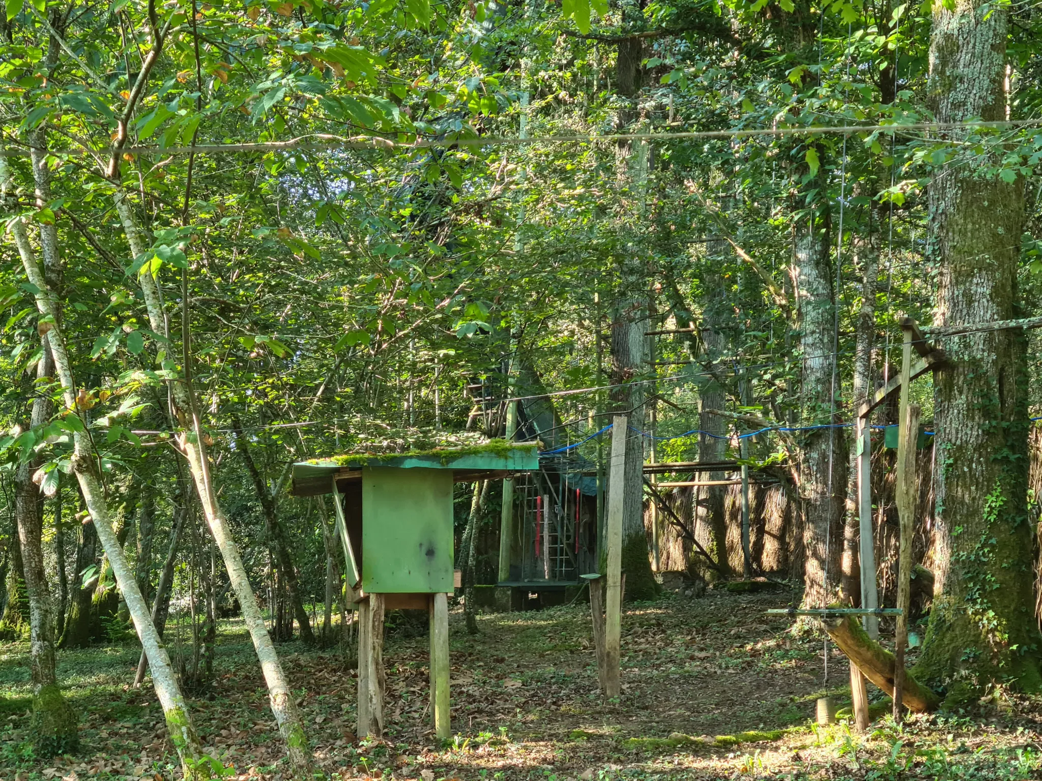 Palombières sur parcelle forestière de 3 ha 85 a 40 ca à Labarthete 