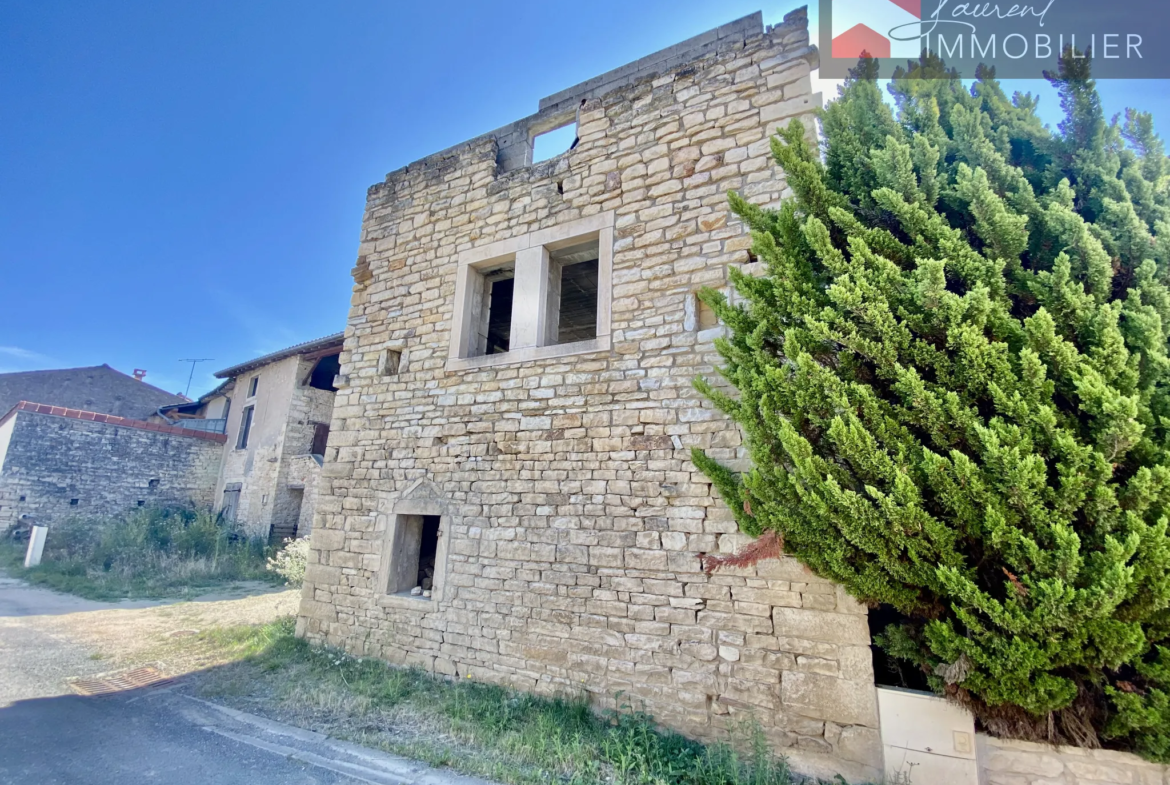 Maison en pierre à rénover avec jardin et tour - Plottes 