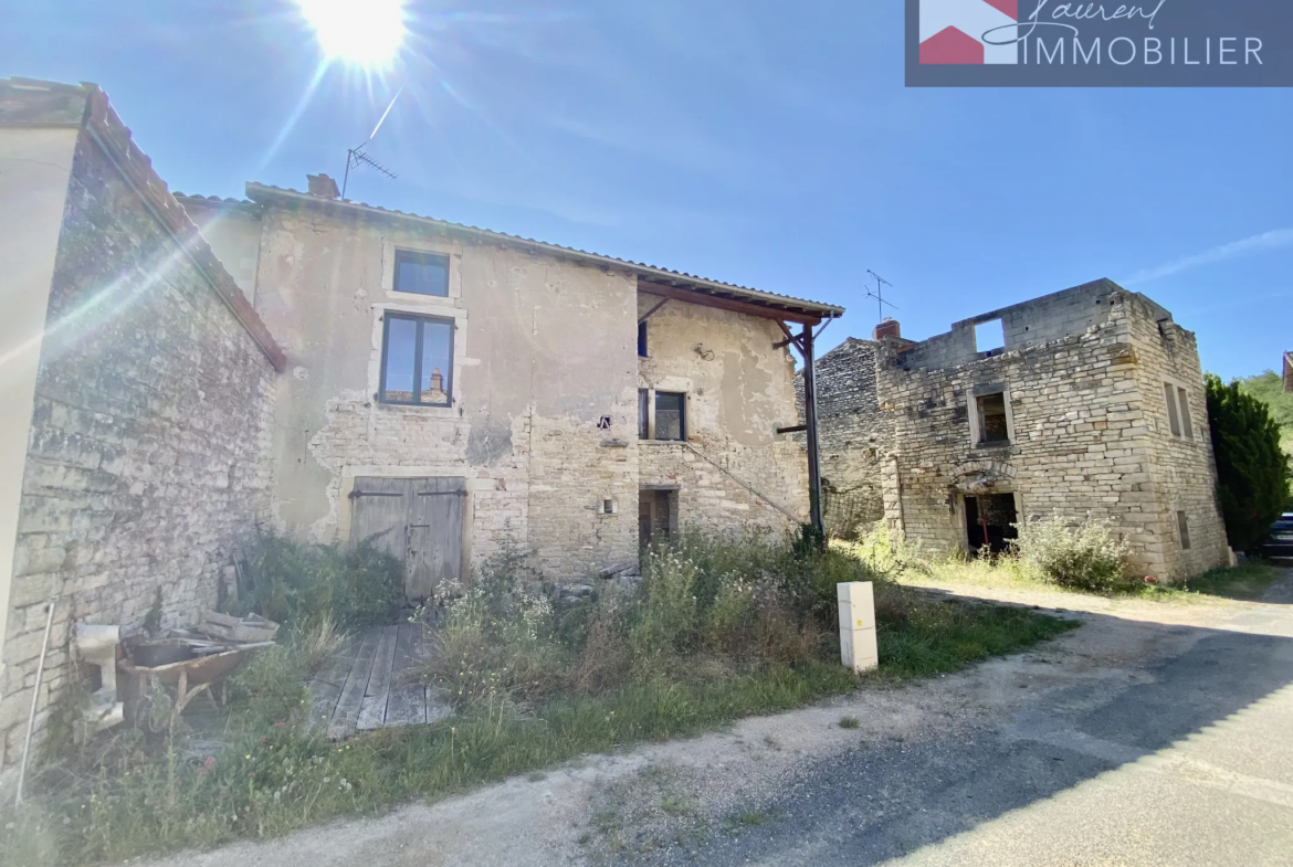 Maison en pierre à rénover avec jardin et tour - Plottes 