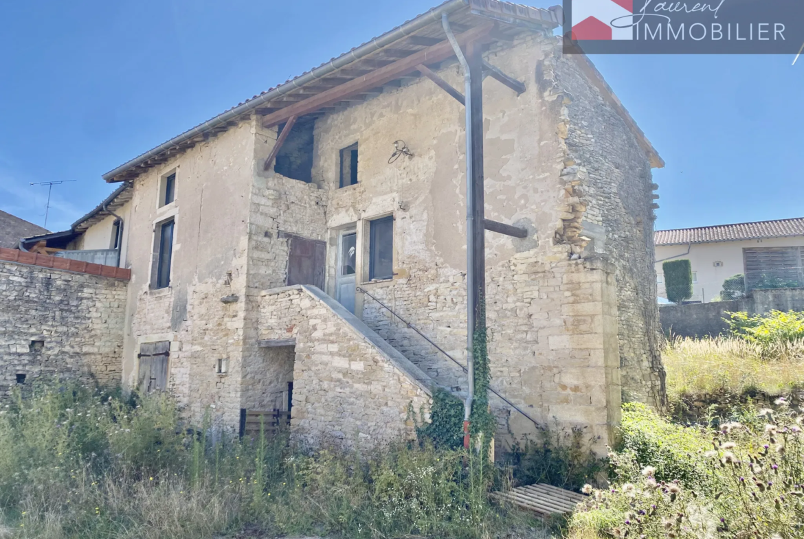 Maison en pierre à rénover avec jardin et tour - Plottes 