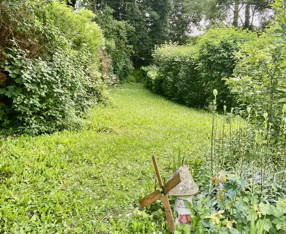 Maison semi-individuelle en pierres et briques à Avesnelles 