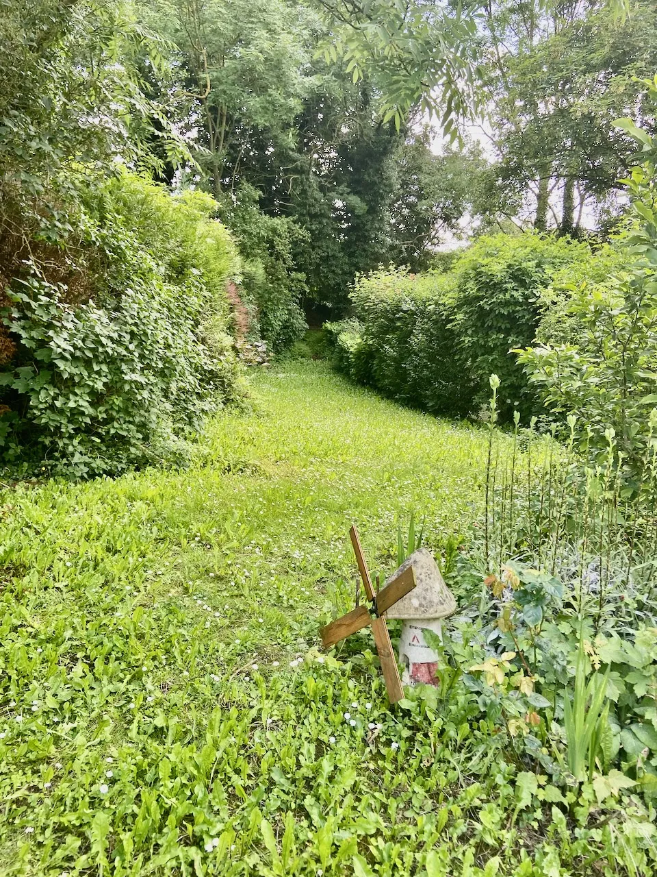 Maison semi-individuelle en pierres et briques à Avesnelles 