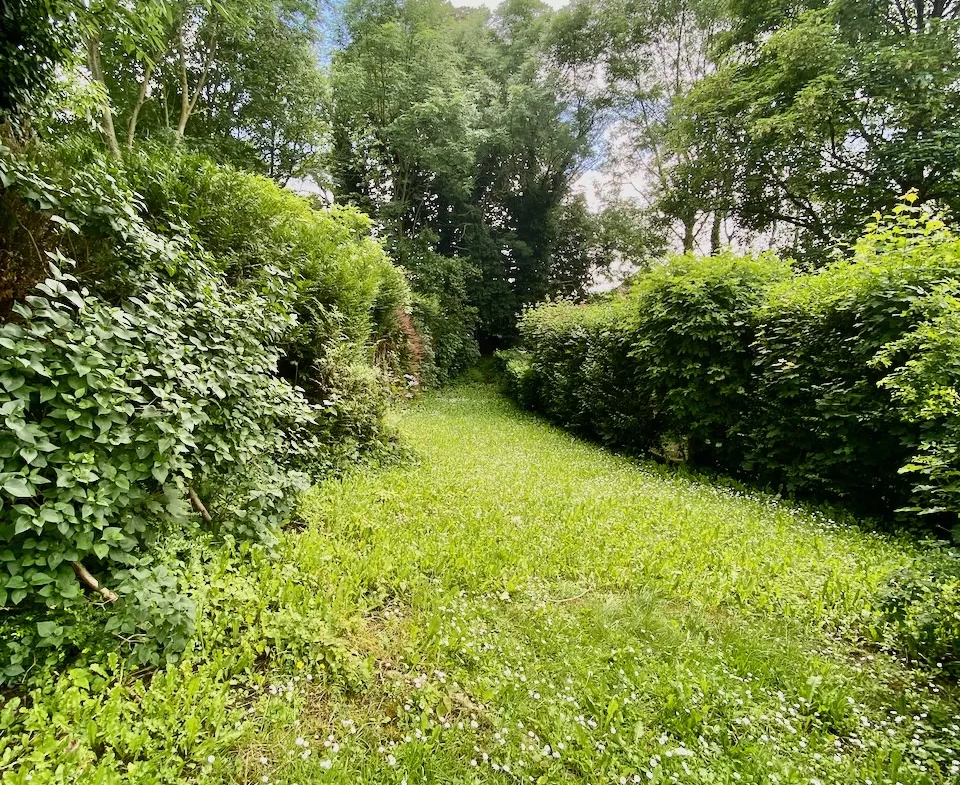 Maison semi-individuelle en pierres et briques à Avesnelles 