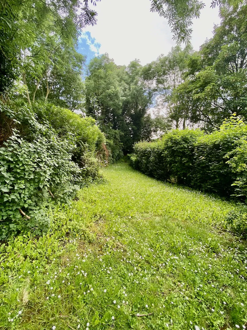 Maison semi-individuelle en pierres et briques à Avesnelles 