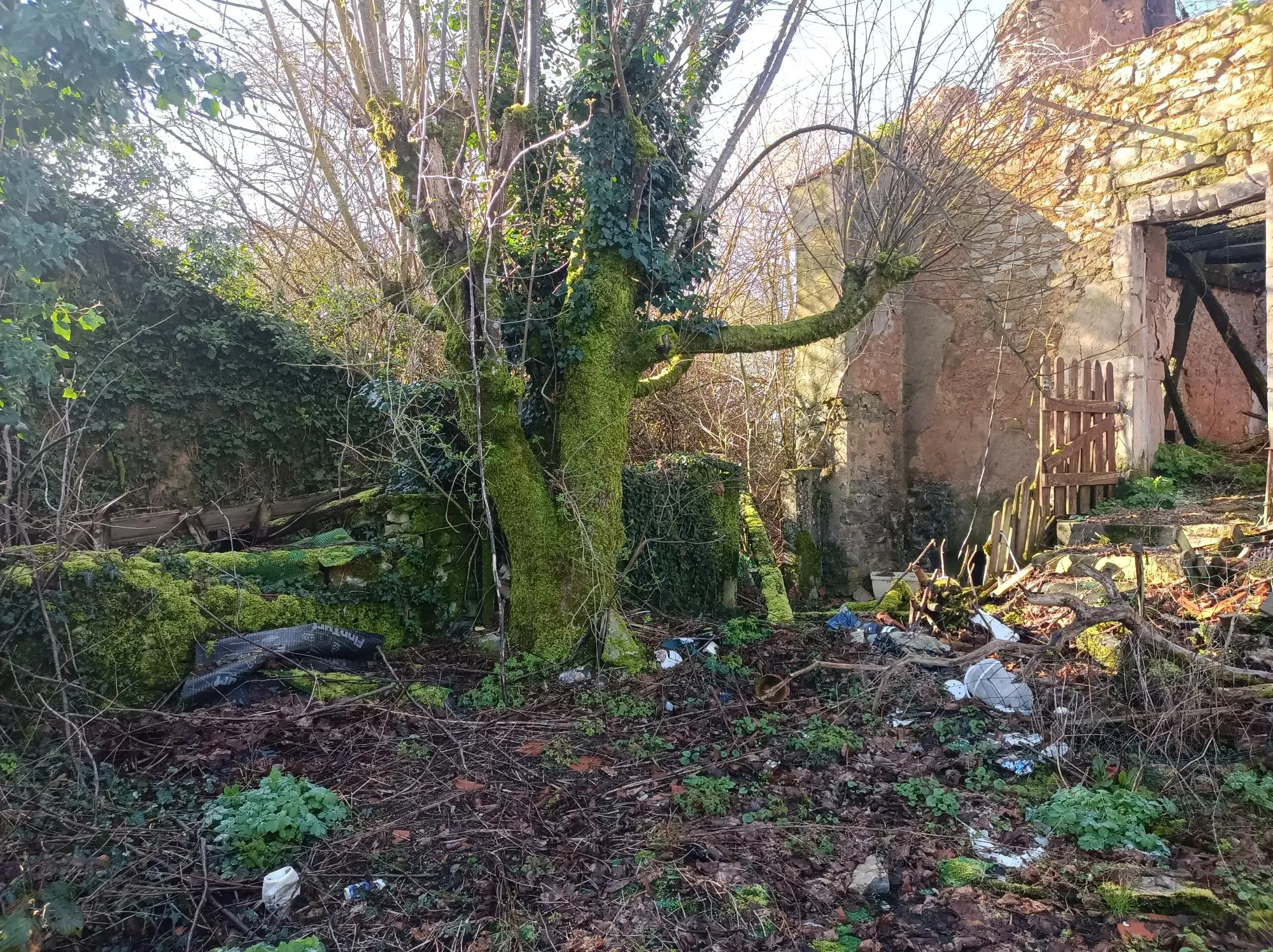 Grand terrain avec bâtiment à Brinay 