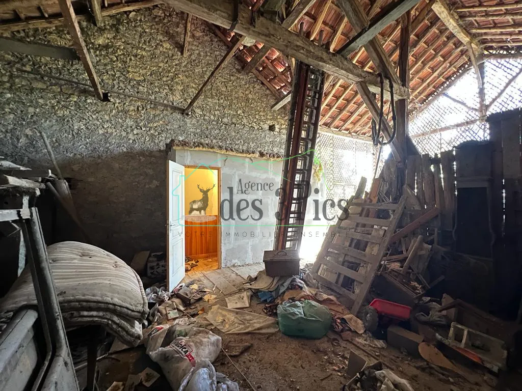 Maison familiale avec son parc arboré et piscine à Mazeres sur salat 