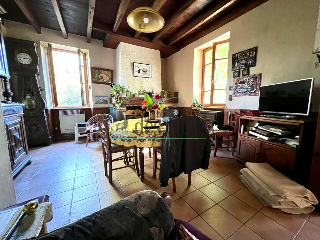 Maison familiale avec son parc arboré et piscine à Mazeres sur salat 