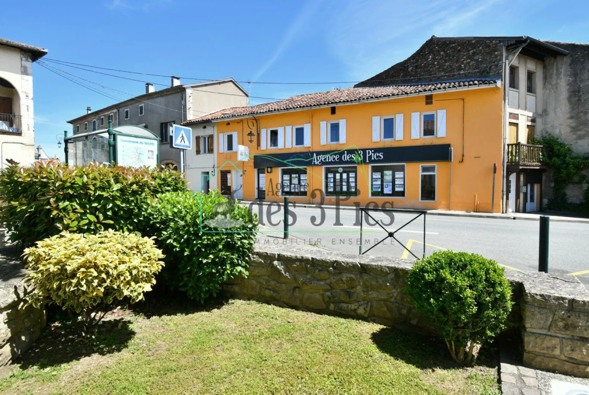 Maison familiale avec son parc arboré et piscine à Mazeres sur salat 