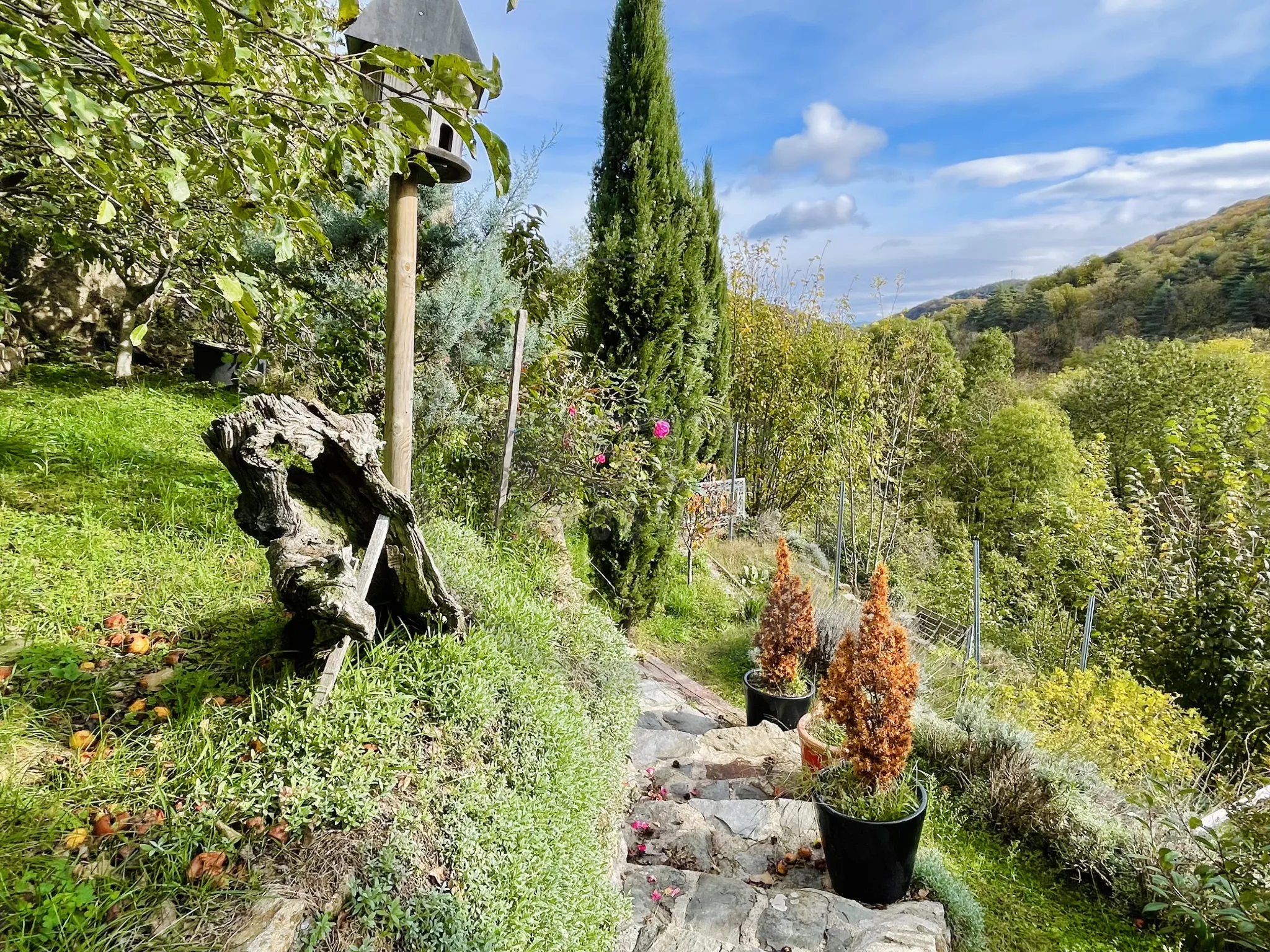 Maison 17ème siècle rénovée à Saint-Julien-Du-Gua - 75m2 