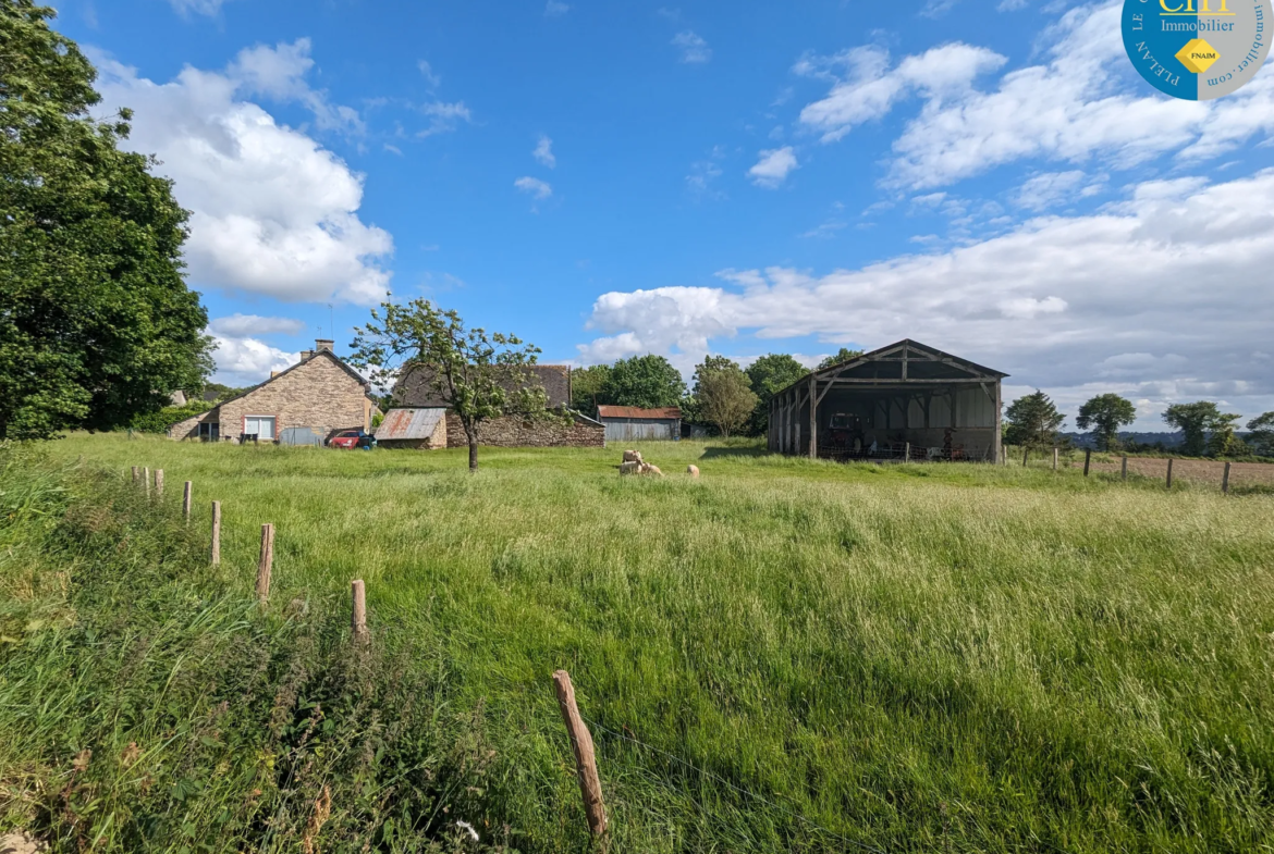 Longère en campagne à PLELAN LE GRAND avec vue sur Brocéliande 