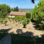 Villa 4 chambres de plain pied avec vue panoramique - Montbrun des Corbières