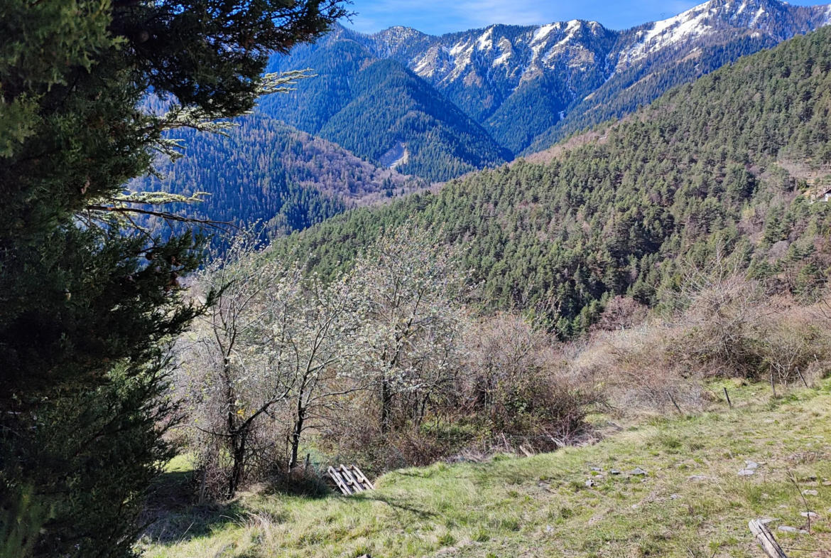 Terrain Constructible avec Vue Panoramique à Venanson 