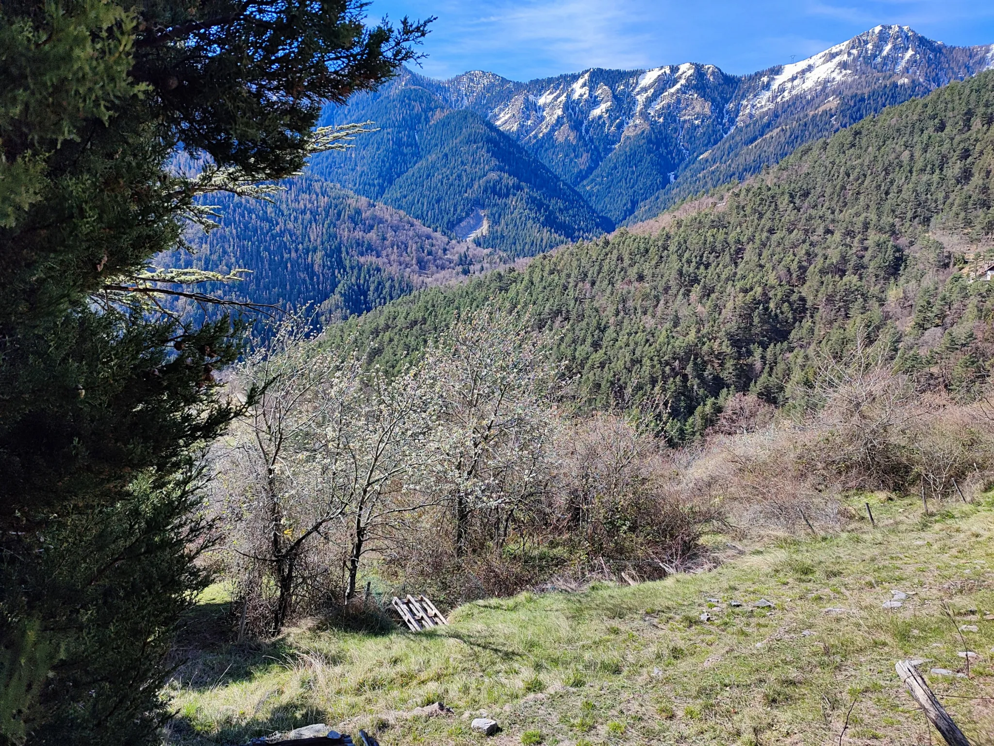 Terrain Constructible avec Vue Panoramique à Venanson 