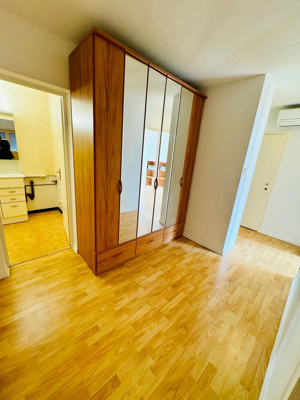 Appartement T4 à Grenoble - Vue panoramique et superficie généreuse 