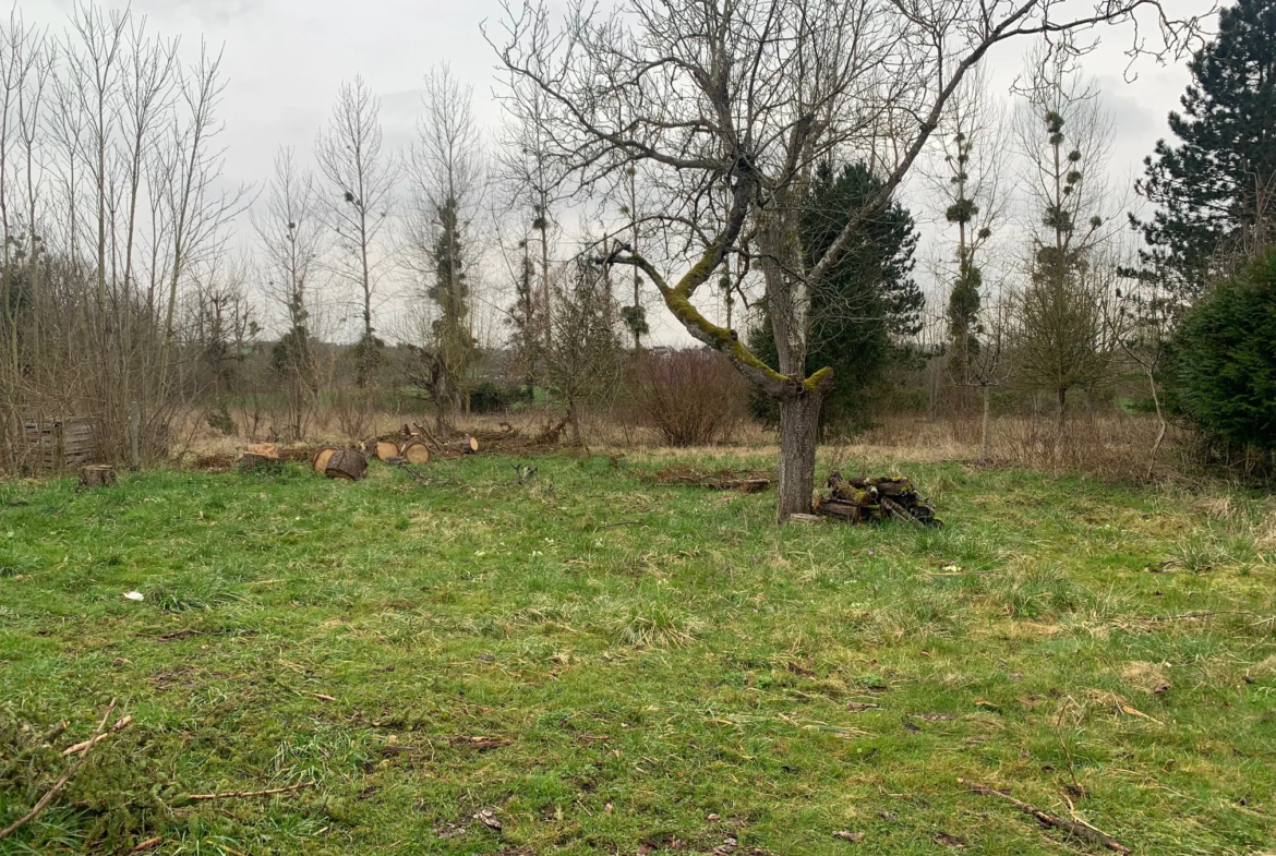 Terrain à bâtir à Chaumont 