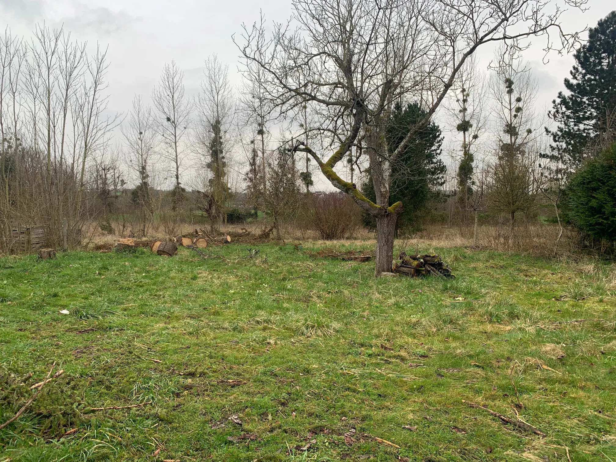 Terrain à bâtir à Chaumont 