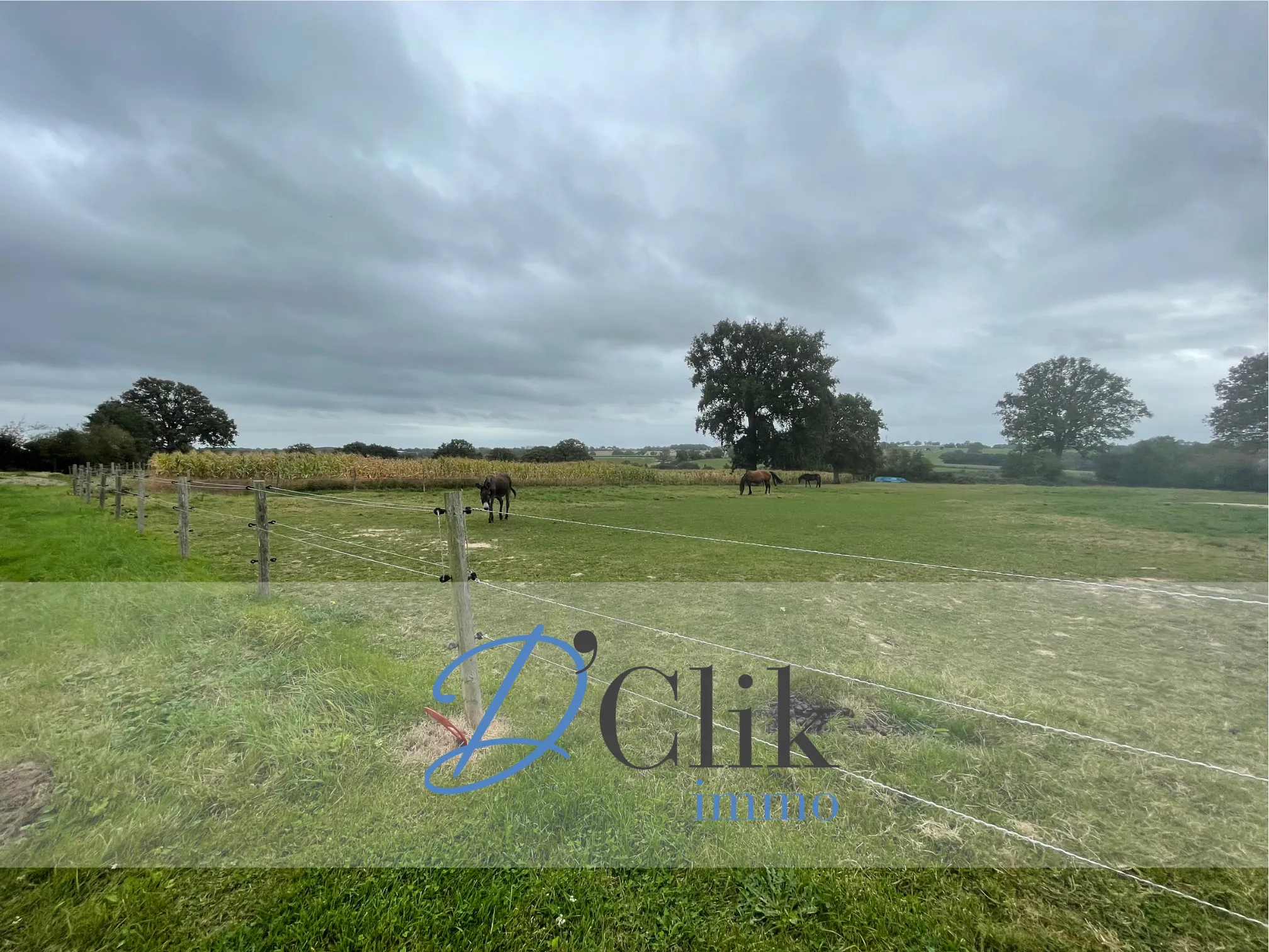 Belle Maison de Campagne avec Mare à La Chapelle Anthenaise 