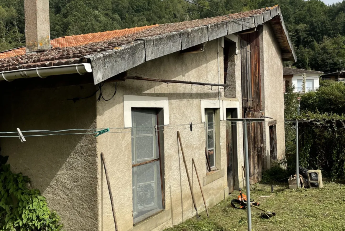 Maison de village au pied de Montsegur avec jardin non attenant 