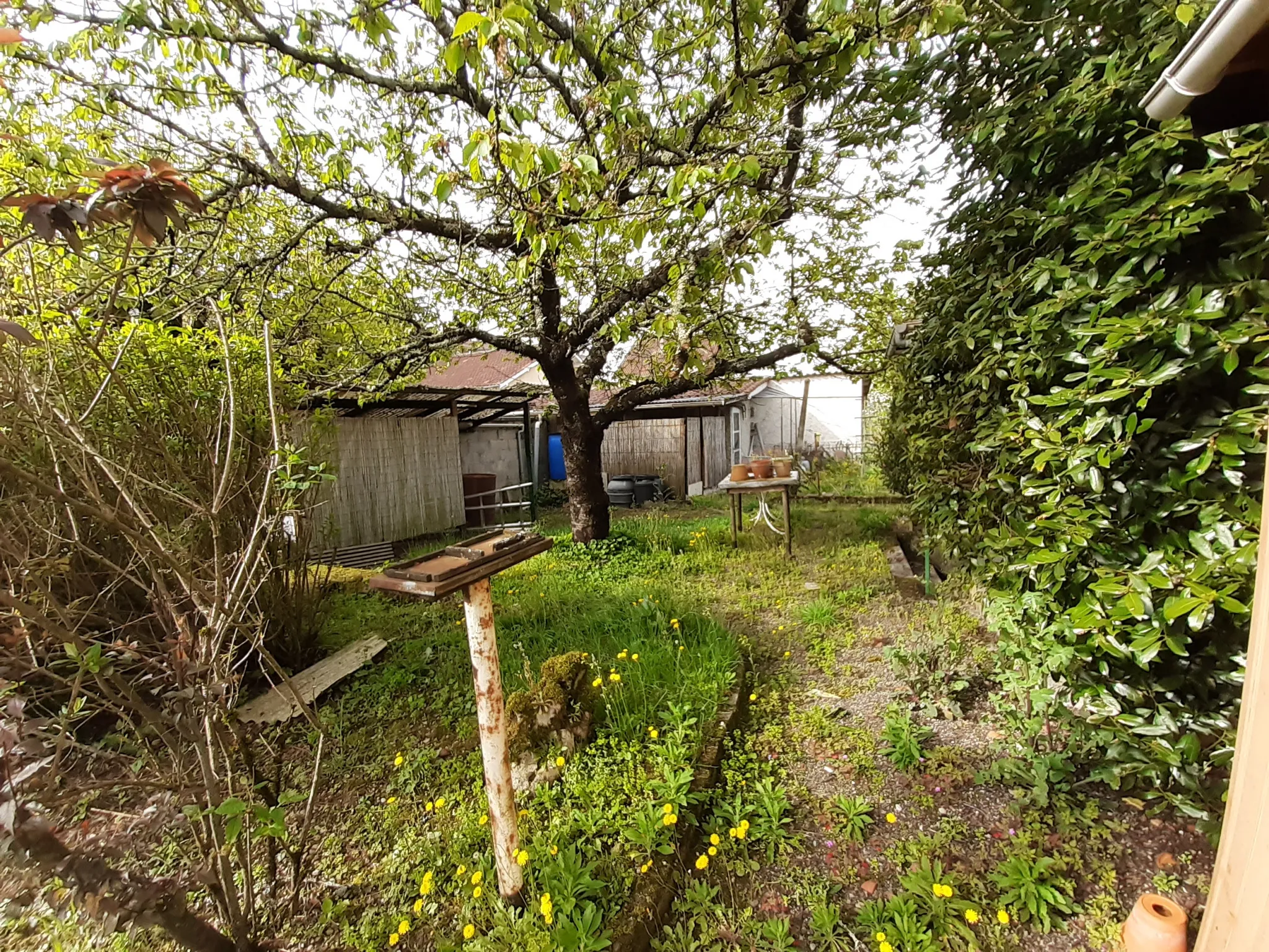 Maison 5 chambres à Biars sur Cere 