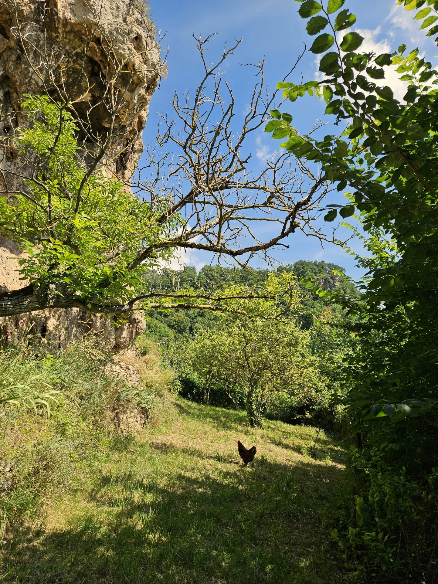 Maison de Village à Salles la Source - 123 m2 - 3 Chambres 