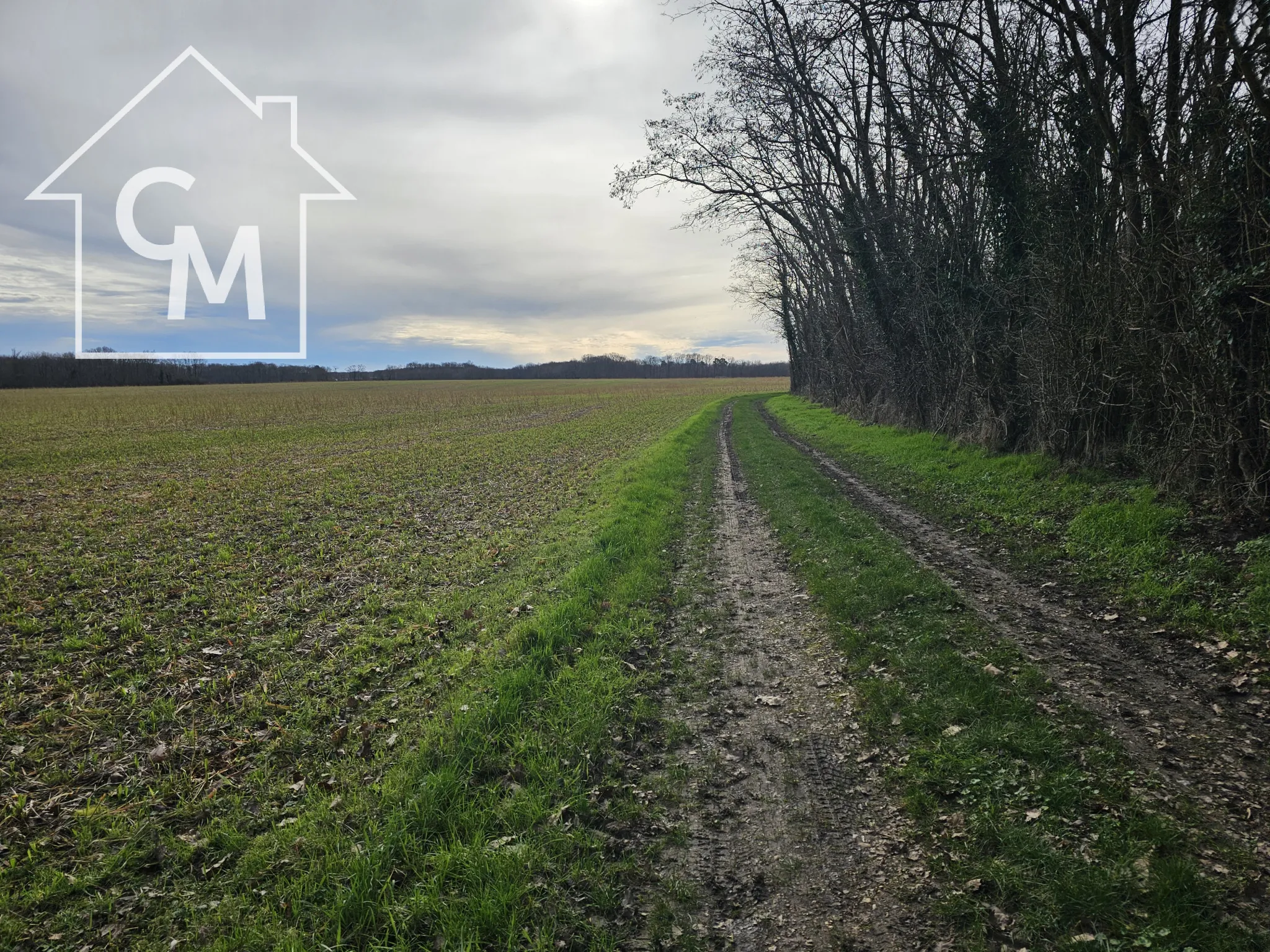 Terrain de loisirs avec chalet - Ferrieres en Gatinais 